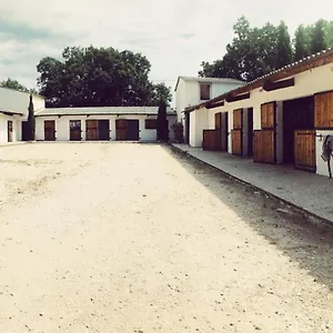 Maison Au Milieu Des Chevaux LʼIsle-sur-la-Sorgue
